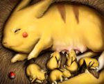  dogsfather family fur hairy_pikachu jpeg_artifacts nintendo no_humans paws pichu pikachu poke_ball pokemon realistic sleeping tail what 
