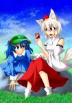  2girls all_fours animal_ears bare_shoulders blue_eyes blue_hair blush breasts card detached_sleeves grass happy hat highres holding holding_card inubashiri_momiji kawashiro_nitori looking_at_another multiple_girls open_mouth pom_pom_(clothes) red_eyes short_hair silver_hair sitting sitting_on_rock smile spell_card tail tokin_hat touhou wolf_ears wolf_tail yin_yang 
