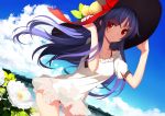  1girl alternate_costume beach bikini black_bikini blue_hair blush clouds dress flower food fruit hat hinanawi_tenshi long_hair looking_at_viewer peach red_eyes see-through short_sleeves sky smile solo suisai. swimsuit touhou 