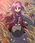  1girl barefoot blush_stickers dragonfly frog grass headwear_removed highres japanese_clothes kimono leaf mallet minigirl needle purple_hair shope smile sukuna_shinmyoumaru touhou violet_eyes wide_sleeves 