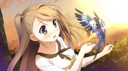  1girl animal bird brown_eyes brown_hair game_cg highres ichinose_hotori kantoku long_hair solo your_diary 