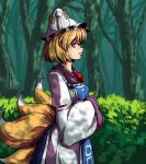  1girl blonde_hair bush dress forest fox_tail frown hands_in_sleeves hat hat_with_ears looking_at_viewer multiple_tails nature profile short_hair side_glance solo tabard tail tassel toluda touhou yakumo_ran yellow_eyes 
