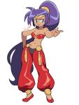  1girl arabian_clothes artist_name bandeau blue_eyes breasts cleavage contrapposto dark_skin earrings flats harem_pants highres hoop_earrings jewelry lilirulu long_hair long_legs midriff pointy_ears ponytail purple_hair shantae shantae_(character) slender_waist solo tiara very_long_hair 