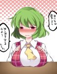  1girl angry ascot blush breast_rest breasts collared_shirt green_hair half-closed_eyes hammer_(sunset_beach) kazami_yuuka large_breasts looking_at_viewer plaid plaid_vest red_eyes shirt short_hair solo touhou translation_request vest 
