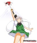  2girls closed_eyes defeat detached_sleeves ghost hair_ribbon hairband hakurei_reimu japanese_clothes kasuga_yukihito katana konpaku_youmu konpaku_youmu_(ghost) miko mountain multiple_girls panties pantyshot pantyshot_(standing) ribbon short_hair silver_hair skirt skirt_set solo_focus standing sword touhou underwear weapon white_panties 