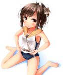  1girl acorn brown_eyes brown_hair chipmunk faubynet highres i-401_(kantai_collection) kantai_collection personification ponytail sailor_collar school_swimsuit short_hair squirrel swimsuit 