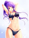  1girl arms_up bikini highres karo_karo long_hair original purple_hair swimsuit violet_eyes 
