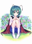  1girl :&lt; androgynous antennae cape collared_shirt flower green_eyes green_hair hands_on_knees highres kittona knees_together_feet_together long_sleeves looking_at_viewer short_hair shorts sitting socks solo touhou traditional_media watercolor_pencil_(medium) wriggle_nightbug 
