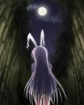  arms_behind_back baerun bamboo bamboo_forest blazer bunny_ears forest full_moon long_hair moon nature purple_hair rabbit_ears reisen_udongein_inaba skirt solo touhou 
