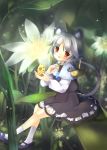  basket cheese flower fuyouchu grey_hair jewelry minigirl mouse mouse_ears mouse_tail nature nazrin pendant plant red_eyes short_hair sitting_on_object solo tail touhou 
