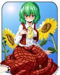  blush breasts flower green_hair hand_on_own_chest kasuka kazami_yuuka lens_flare plaid plaid_skirt plaid_vest red_eyes short_hair sitting skirt skirt_set solo sun sunflower taut_shirt touhou 