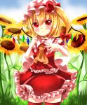  1girl absurdres ascot asymmetrical_hair bell_choker blush bow field flandre_scarlet flower flower_field hair_bow hat hat_bow highres looking_at_viewer mob_cap nayutaro puffy_sleeves red_eyes red_legwear shirt side_ponytail skirt solo sunflower thigh-highs touhou vest wings zettai_ryouiki 