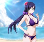  1girl bikini black_hair green_eyes long_hair love_live!_school_idol_project swimsuit toujou_nozomi twintails wewe 