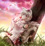  1girl animal_ears autumn_leaves bare_shoulders black_legwear blush breasts detached_sleeves grass hat holding in_tree inubashiri_momiji leaf midriff pom_pom_(clothes) red_eyes short_hair silver_hair sitting sitting_in_tree smile solo tail tokin_hat touhou tree wariza wolf_ears wolf_tail 