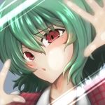  1girl against_fourth_wall blush_stickers dress fourth_wall green_(midoriryuu) green_hair kazami_yuuka open_mouth outstretched_hand plaid plaid_dress red_eyes short_hair solo_focus touhou 