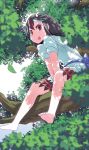  1girl black_hair blurry bow d@i depth_of_field dress highres horns in_tree kijin_seija leaf looking_at_viewer multicolored_hair red_eyes redhead short_hair short_sleeves sitting sitting_in_tree smile solo streaked_hair tongue tongue_out touhou tree white_hair 