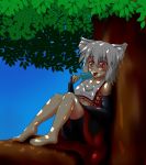  1girl animal_ears bare_shoulders blush breasts detached_sleeves ice in_tree inubashiri_momiji kunoo_(unnyuu) large_breasts licking pom_pom_(clothes) red_eyes short_hair silver_hair sitting sitting_in_tree solo tongue tongue_out touhou tree underboob wolf_ears 