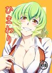  1girl breasts brown_eyes cleavage collar_tug collarbone cover cover_page green_hair grin h-new kazami_yuuka large_breasts looking_at_viewer open_clothes open_shirt open_vest smile solo touhou 