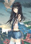  1girl absurdres artist_request bird black_hair blue_eyes camisole dr_pepper flower highres kami-sama_no_memo-chou long_hair looking_at_viewer midriff night night_sky off_shoulder payot profile shionji_yuuko shorts sky smile soda_can solo standing sunset thigh-highs white_legwear 