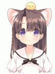  1girl ^_^ animal_ears animated animated_gif brown_hair cat_ears closed_eyes moegirlwiki ribbon smile violet_eyes 