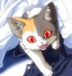  calico cat clothes fang fangs icon kitten red_eyes 