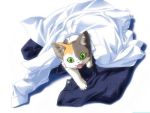  calico cat clothes da_capo fang fangs green_eyes jeans kitten neko pile shirt 
