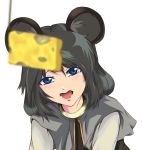 bad_id blue_eyes cheese gakkun grey_hair highres mouse_ears nazrin open_mouth saliva solo touhou 