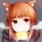  1girl animal_ears black_row brown_hair holo long_hair looking_at_viewer red_eyes scarf smile solo spice_and_wolf winter_clothes wolf_ears 