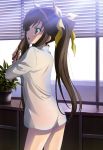  1girl absurdres bow brown_hair from_behind green_eyes hair_bow hair_brush hair_brushing hair_ribbon highres huang_lingyin infinite_stratos long_hair naked_shirt official_art open_mouth ribbon see-through_silhouette small_breasts solo standing twintails very_long_hair 