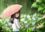  1girl absurdres back black_hair brown_eyes flower highres hydrangea long_hair looking_at_viewer looking_back original outdoors rain romiy shirt sketch solo umbrella water_drop white_shirt 