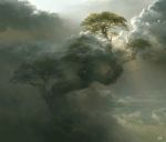  clouds cloudy_sky flowerzz highres no_humans original sky sunlight tree 