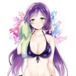  1girl apfl0515 bikini blush breasts green_eyes long_hair love_live!_school_idol_project purple_hair smile solo swimsuit toujou_nozomi towel twintails 