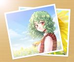  1girl ascot bust field flower flower_field green_hair kazami_yuuka looking_at_viewer mokku photo_(object) red_eyes short_hair smile solo sunflower touhou vest wavy_mouth 