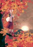  1girl autumn autumn_leaves brown evening full_body hakama in_tree inubashiri_momiji japanese_clothes leaf maple_leaf scenery short_hair side solo standing_on_branch sun sunlight sunset tian_(my_dear) touhou tree white_hair wide_sleeves 