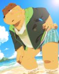  amagi_earth_comics animal_ears beach bear blush chubby flying_wave hoodie jacket kemono kemonobito original shorts sky sweat ursine water 