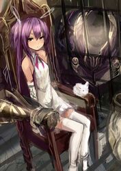  1girl haik highres long_hair looking_at_viewer original purple_hair rabbit tagme white_legwear yellow_eyes 