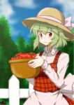  1girl alternate_costume apron basket blue_sky bow carrying clouds cloudy_sky dress fence food forest fruit green_hair hat hat_bow hat_ribbon highres holding jumper kazami_yuuka nature plaid plaid_dress plaid_vest red_eyes ribbon short_hair sky solo straw_hat tomato touhou tree vegetable waist_apron 