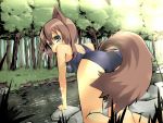  animal_ears aqua_eyes artist_request back blush brown_hair forest fox_ears fox_tail fuji-k green_eyes looking looking_back nature one-piece_swimsuit outdoors school_swimsuit short_hair swimsuit tail tree water 