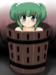  akatuki aqua_eyes bucket girl_in_bucket green_hair in_bucket in_container kisume short_hair touhou twintails 
