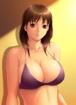  bikini bra breasts brown_eyes brown_hair cleavage dragon@harry harii_(pixiv) highres huge_breasts lingerie original solo sweat swimsuit underwear 