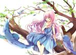  1girl bird bisonbison blue_dress closed_eyes dress hand_on_own_chest long_hair open_mouth original pink_hair sitting smile tree tree_branch 