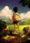  1boy backpack bag bandaid bird black_hair blue_sky branch bush child clouds dirt flower from_behind full_body leaf light_rays male noeyebrow_(mauve) original outdoors power_lines realistic shoes short_hair shorts sky sneakers socks solo standing sunbeam sunlight t-shirt thermos tree wind 