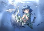  1girl animal_ears blue_eyes blue_hair hammer_(sunset_beach) head_fins japanese_clothes kimono mermaid monster_girl obi sash short_hair smile solo touhou underwater wakasagihime 