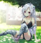  1girl ahoge animal_ears cat_ears la-na long_hair looking_at_viewer original red_eyes shoes shorts silver_hair sitting smile solo thigh-highs zettai_ryouiki 
