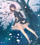  1girl arms_behind_back bare_legs black_eyes brown_hair cherry_blossoms dress flower flowers_(innocent_grey) from_behind highres interlocked_fingers kousaka_mayuri long_hair looking_back open_mouth petals scan skirt solo standing sugina_miki tree wind_lift 