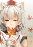  1girl animal_ears gradient gradient_background hat inubashiri_momiji leaf maple_leaf pom_pom_(clothes) portrait red_eyes rikkido shirt short_hair simple_background smile solo string tokin_hat touhou white_hair wolf_ears 