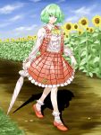  1girl ankle_socks ascot blue_sky blurry closed_umbrella clouds depth_of_field dirt_road field flower flower_field green_hair highres kazami_yuuka kazu_(rakugakino-to) long_sleeves looking_at_viewer mary_janes open_clothes open_vest outdoors pebble plaid plaid_skirt plaid_vest red_eyes shadow shoes short_hair skirt sky smile solo sunflower touhou umbrella vest walking 
