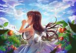  1girl bow brown_hair closed_eyes dress hair_bow hair_ornament hair_ribbon holding lights long_hair original ribbon sky solo tagme td tomato white_dress wind 