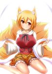  1girl animal_ears blonde_hair breasts fox_ears fox_tail large_breasts long_sleeves merry_(diameri) multiple_tails shawl shirt sitting skirt smile solo tail tiger_print toramaru_shou toramaru_shou_(cosplay) touhou wariza wide_sleeves yakumo_ran yellow_eyes 