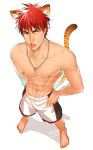  animal_ears kagami_taiga kanapy male muscle redhead shirtless short_hair simple_background solo tail white_background 